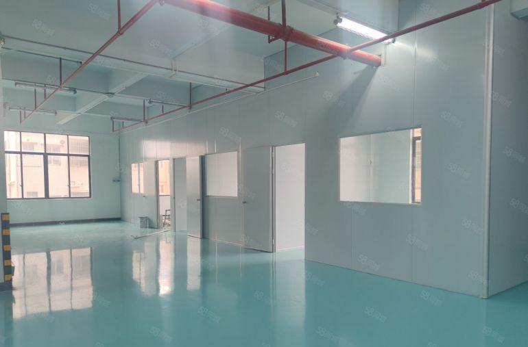 仲恺陈江楼上低价带装修4000平方厂房出租大小可分可办环评