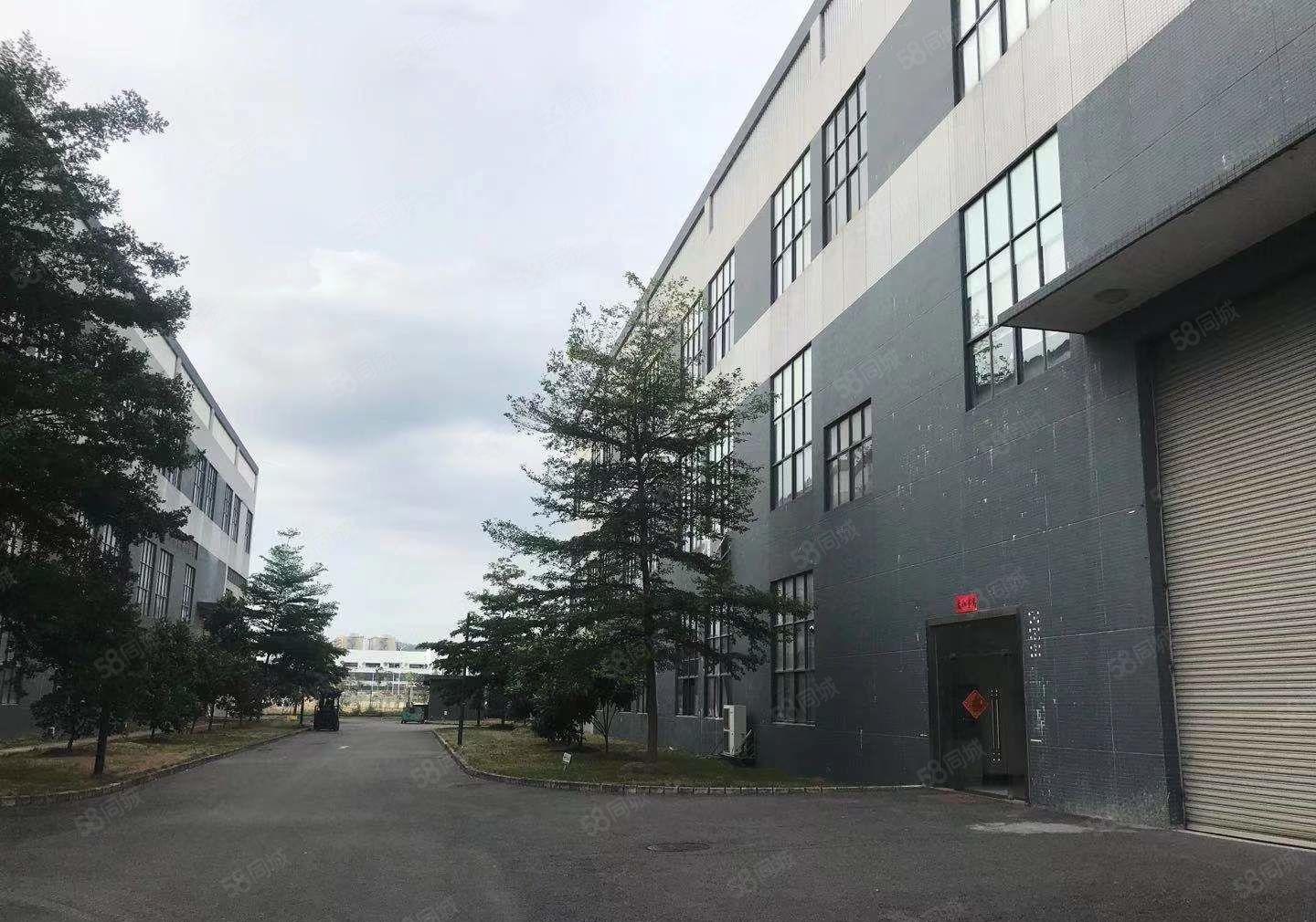 罗群工业区工业园分租一楼厂房2000平 700平出租