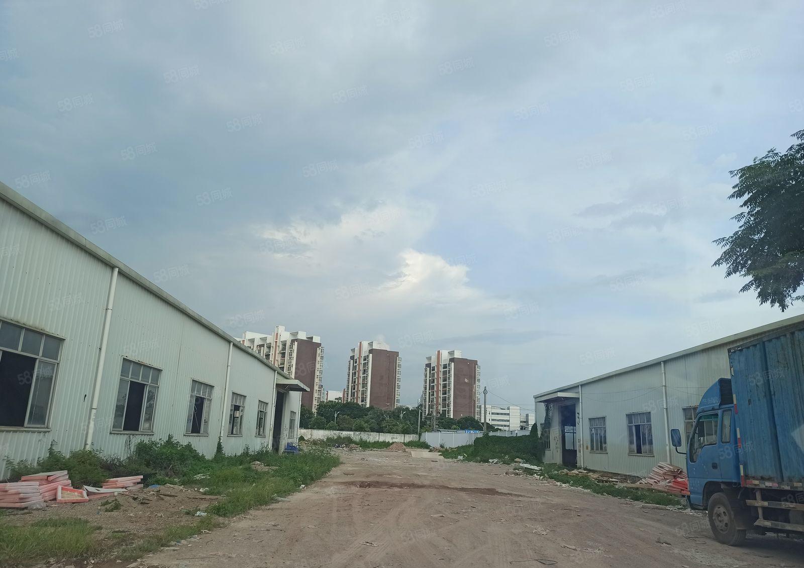 历林单层一楼厂房出租1600平可分租