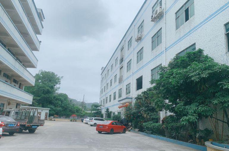 仲恺陈江原房东独门独院厂房出租5000平仓库一楼高6米可分租