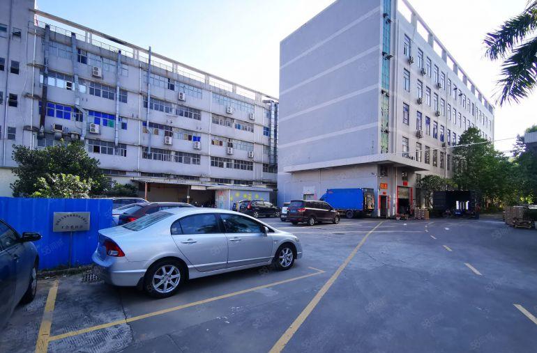 500平起分租 陈江原房东工业园一楼2000平厂房出租带牛角