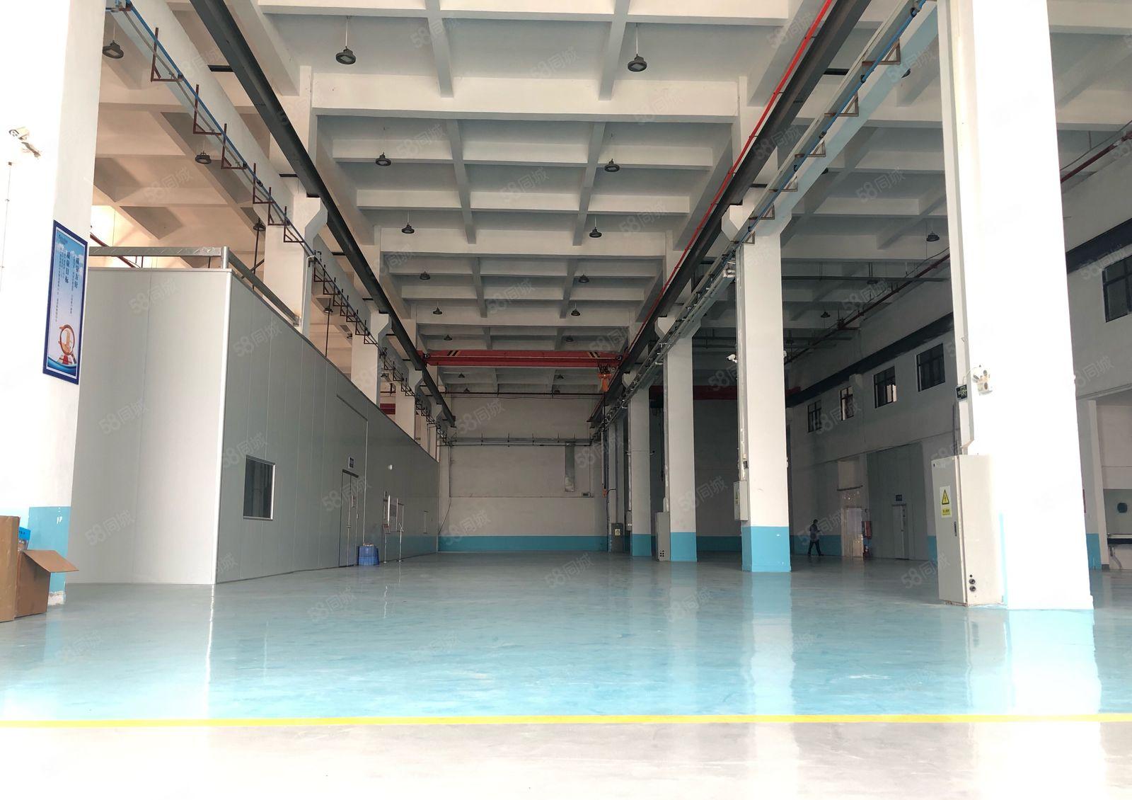 仲恺惠环TCL附近一楼2300平方9米高带航车标准厂房无公摊