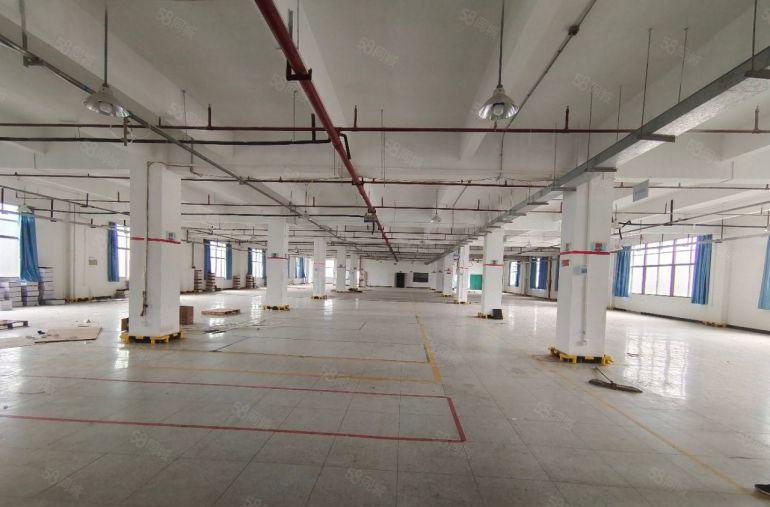 仲陈江原房东独栋厂房出租 带精装修 单层面积1712平