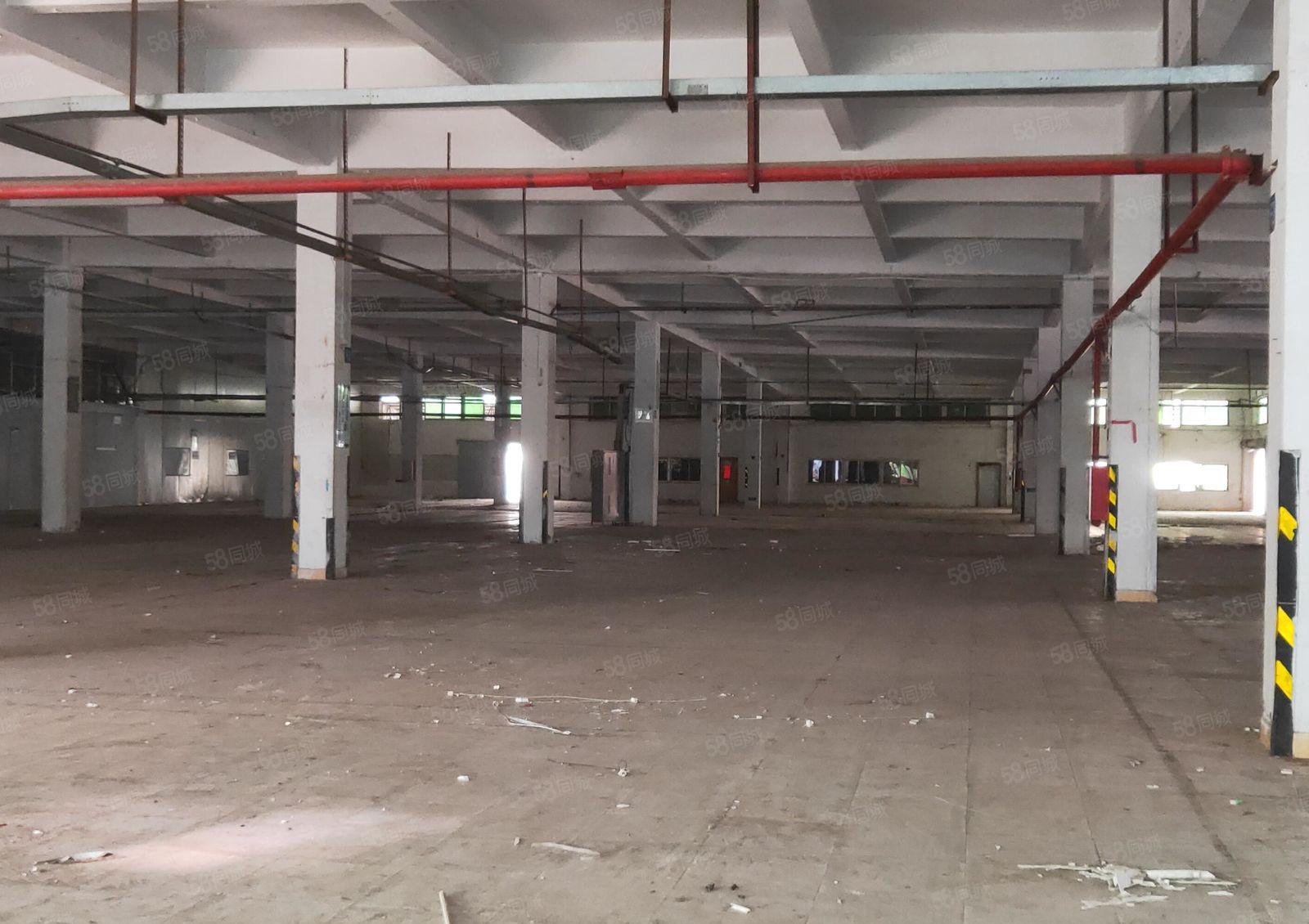 沥林路口原房东花园式厂房 一楼3000平米对外出租