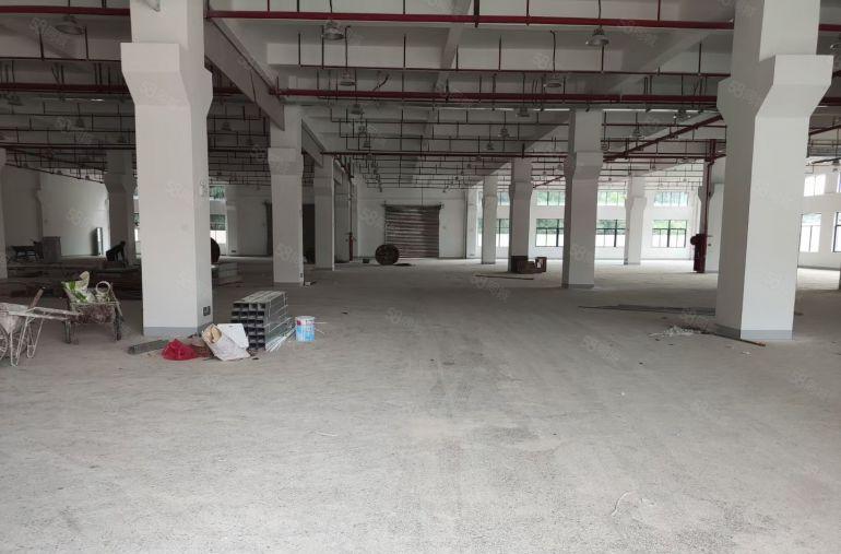 厂房出租陈江五一工业区新出一楼标准厂房2600平带牛角和水电