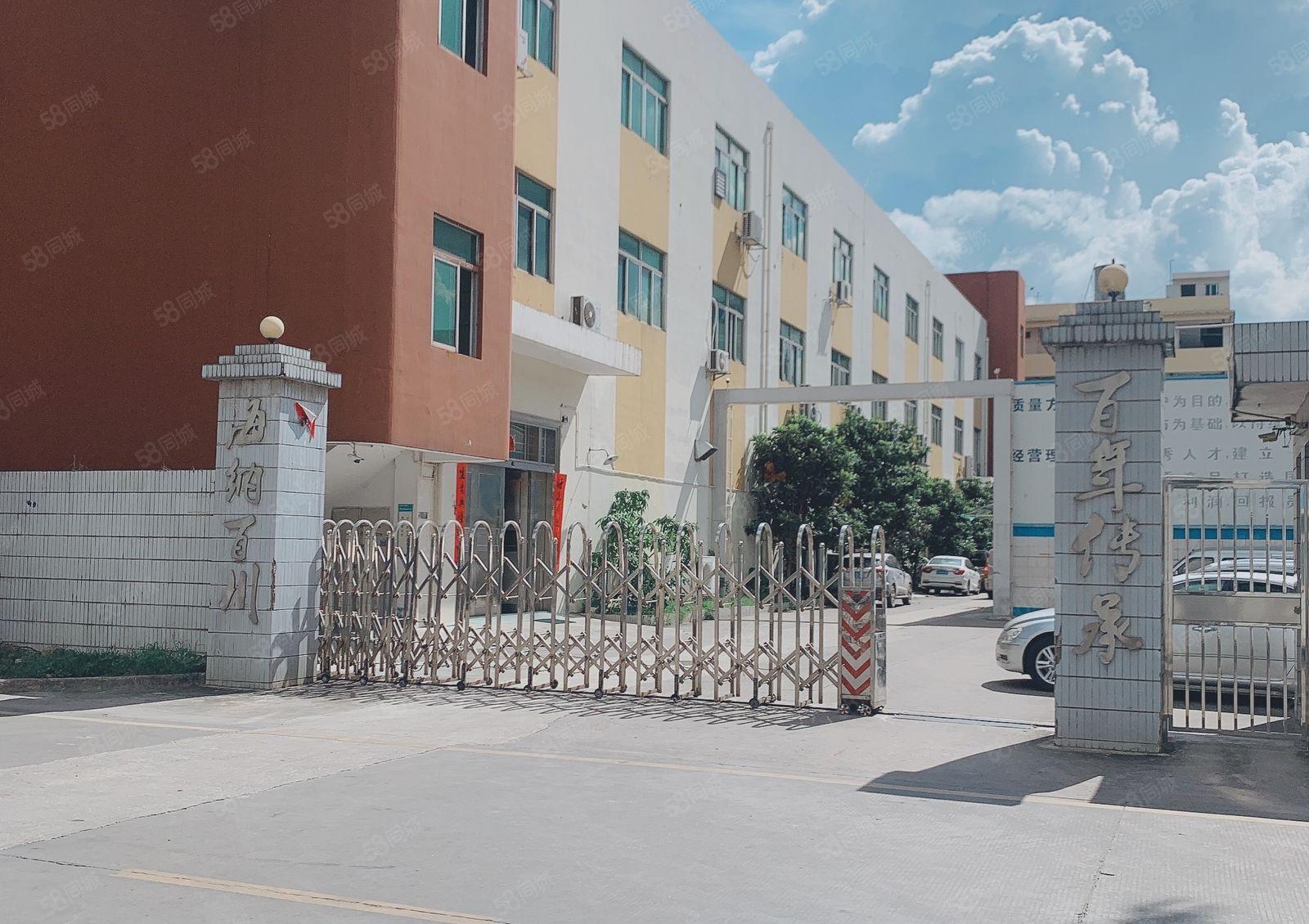 仲恺沥淋原房东1500一楼高6米1000仓库厂房出租200起