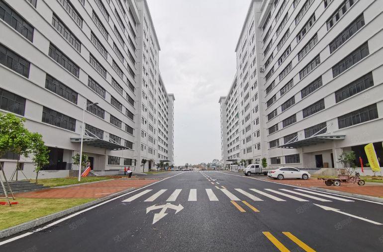 8元一平起沥林工业园红本标准厂房1000平厂房出租可办环评