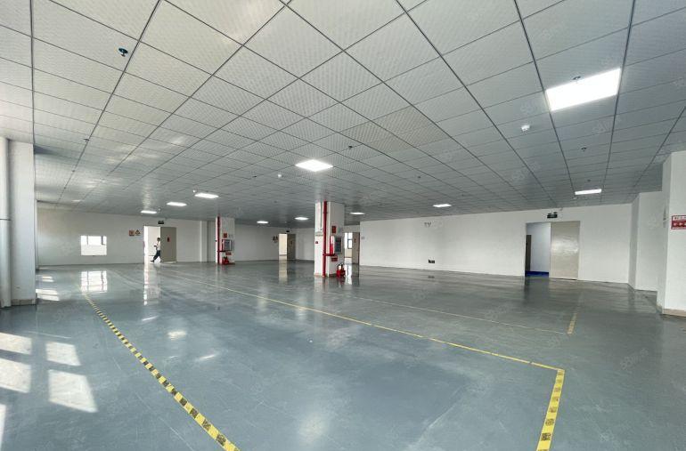 11块仲恺全新厂房仓库1600平出租可分带红本实际面积金装修