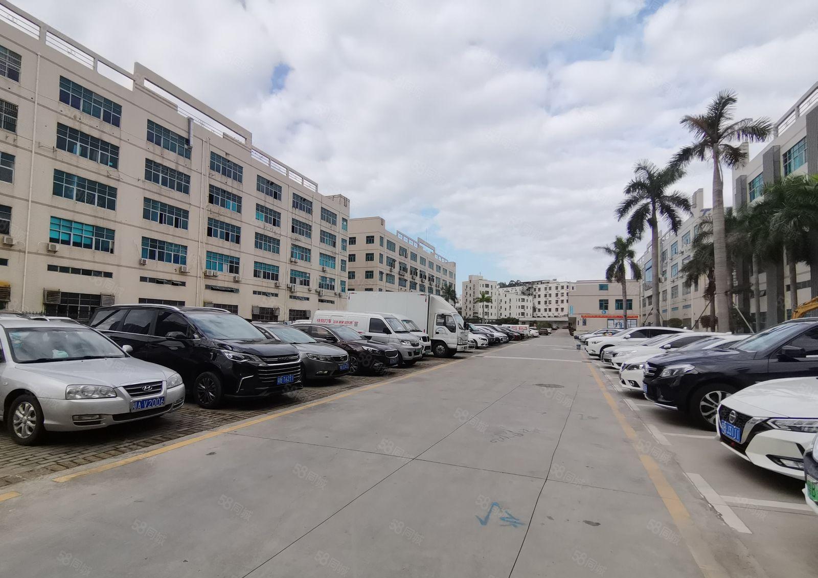 仲恺陈江五一300平至2000平厂房仓库办公室出租低价分租