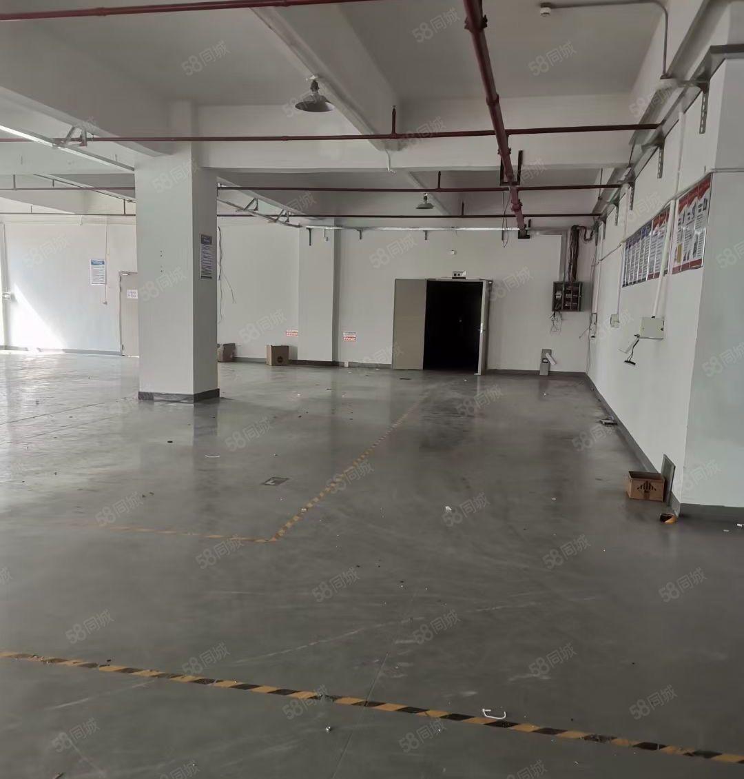 仲恺高新区沥林原房东带装修1050平米出租