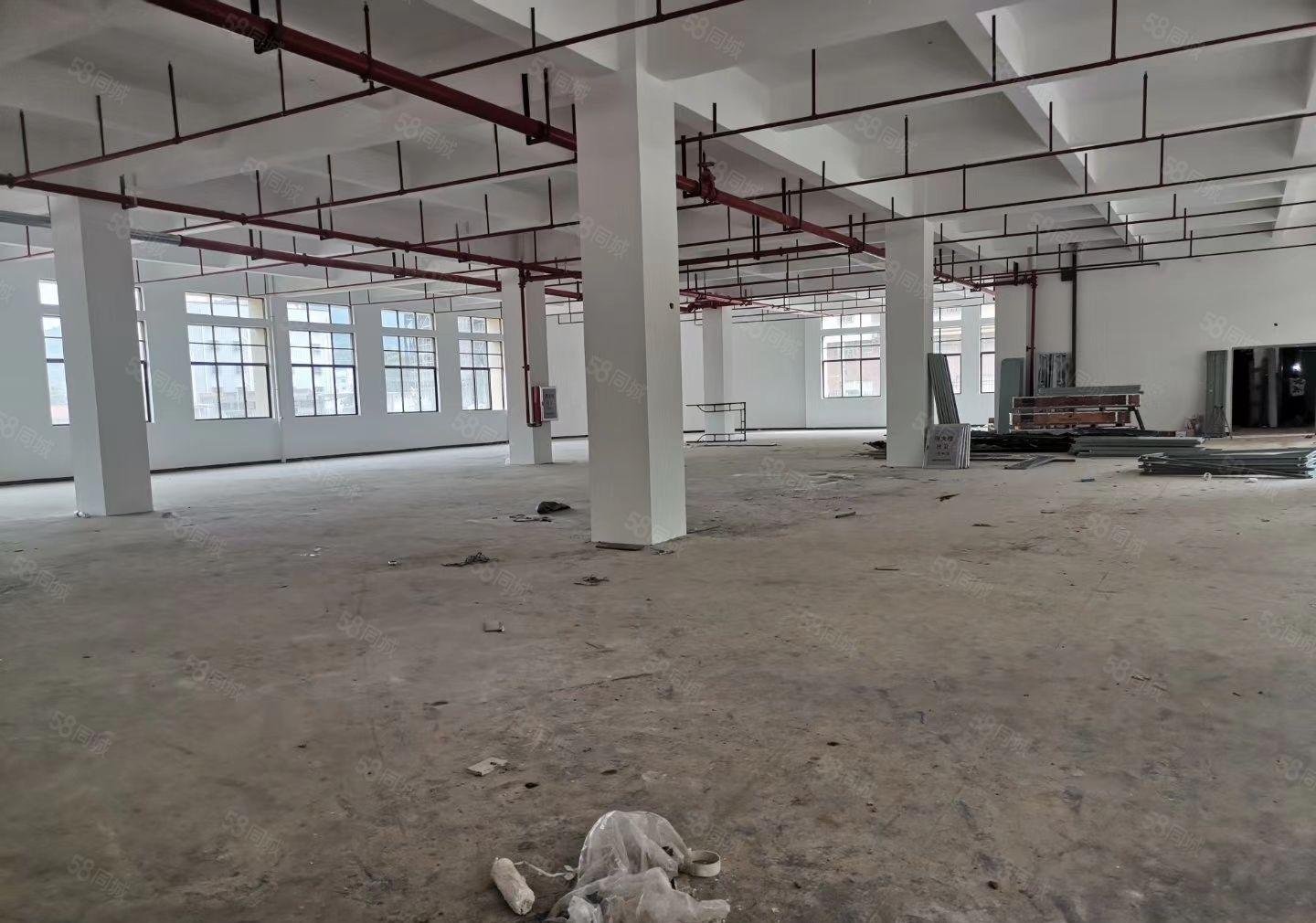 陈江大欣集团一楼标准厂房2000平招租可分租带红本可办环评