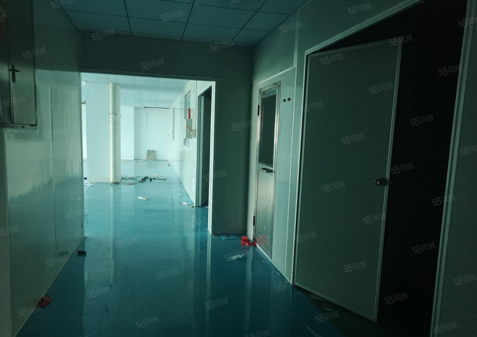 平南高速路口原房东厂房1000平方带无尘车间