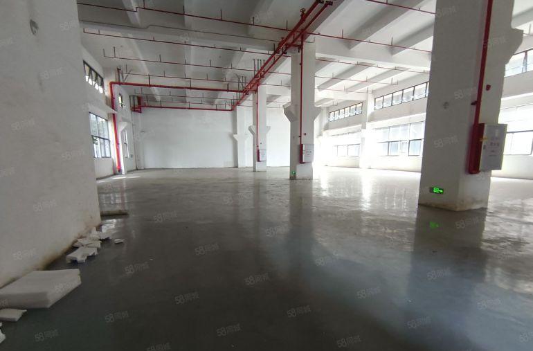 10元一楼厂房出租 1100平方带牛角位层高7米水电已到车间