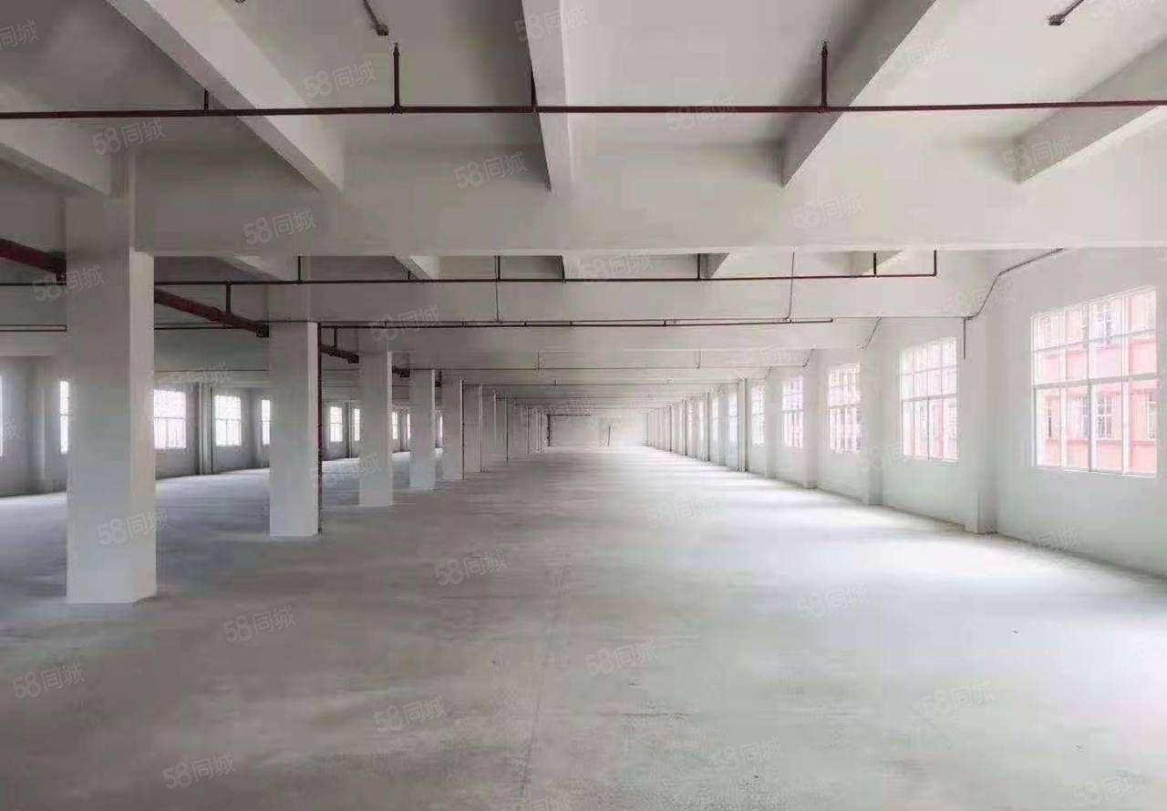 惠州市仲恺高新区原房东独门独院32000平方全新标准厂房招租