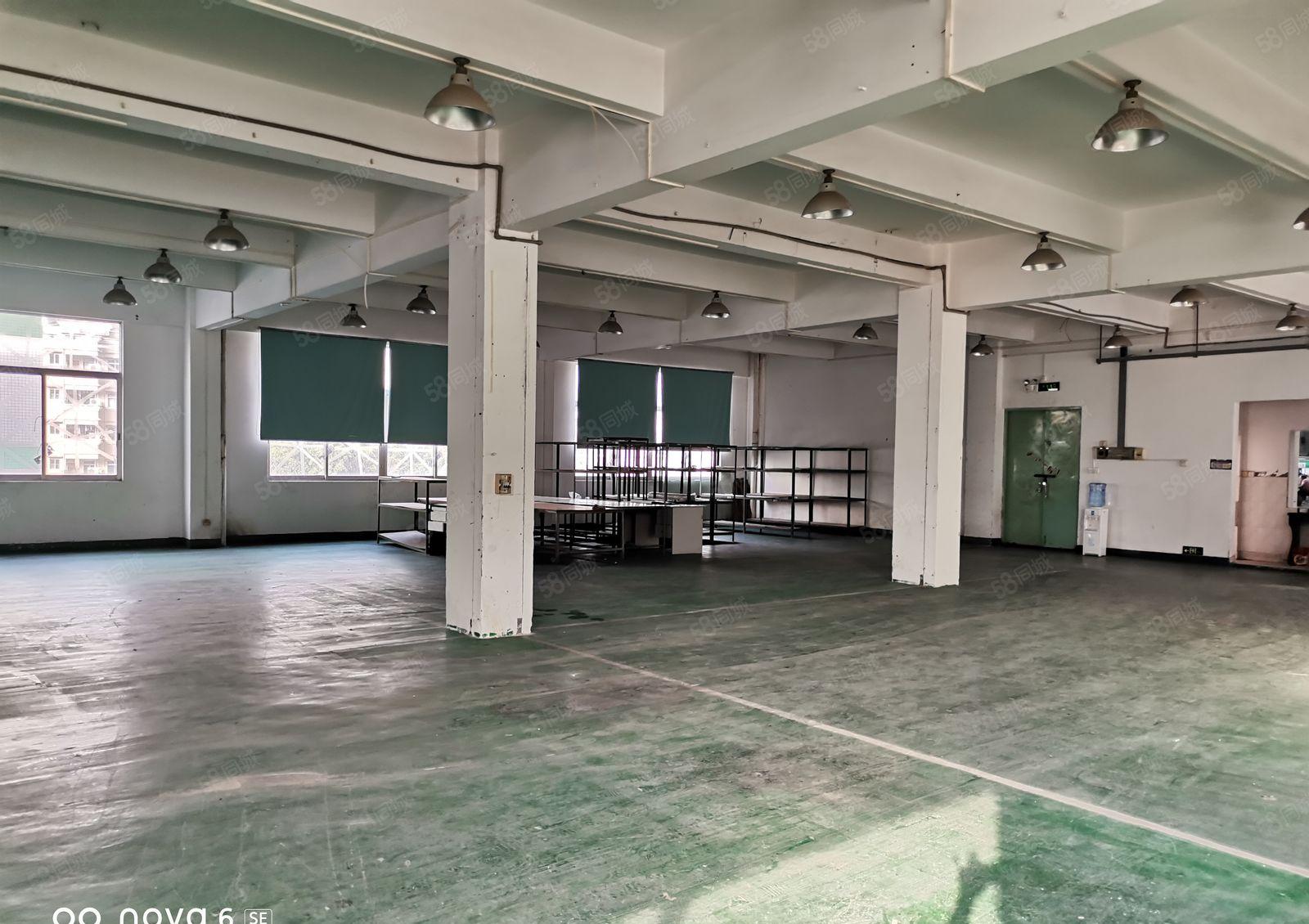 仲恺惠环600带现成水电，现成装修的标准厂房出租