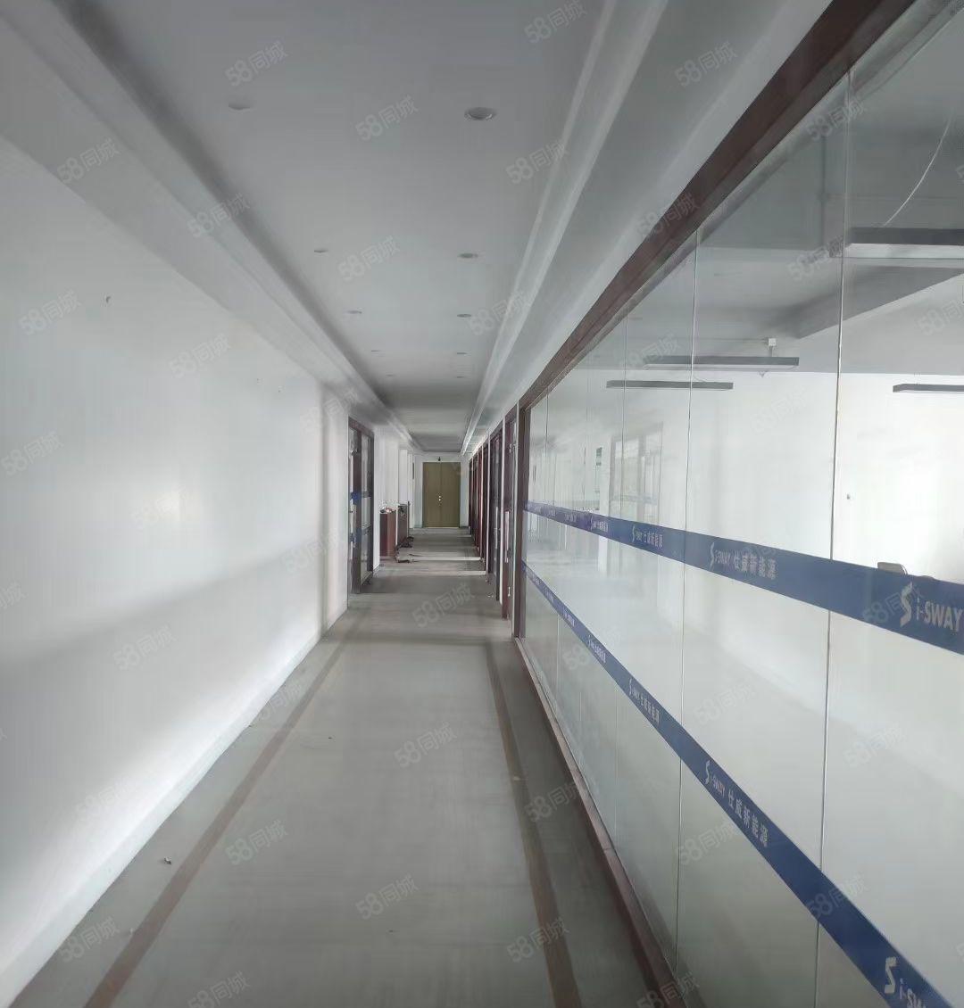 惠环标准厂房800平，带装修可分租