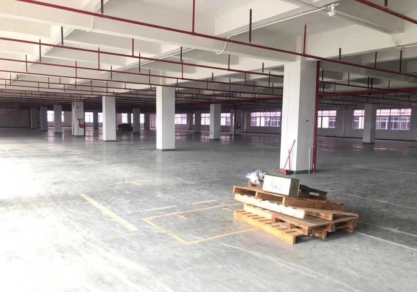 惠州市仲恺德赛高新区全新标准厂房65000方招租