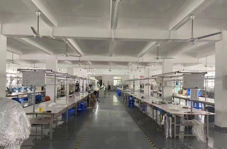 1000平带装修 10元一平 原房东厂房出租 不限行业