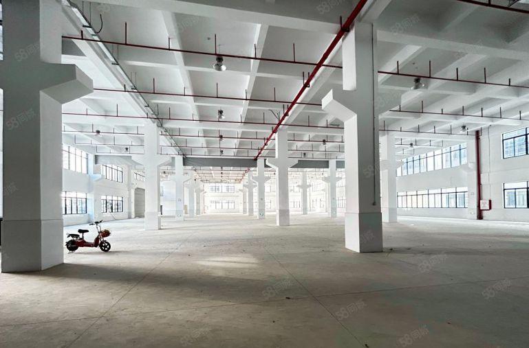 8元！仲恺高新区独门独院20000平厂房仓库低价出租可分租