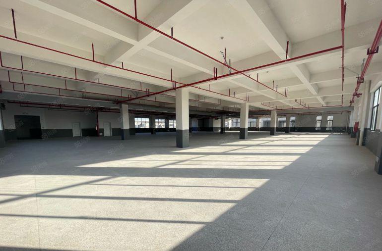 陈江特价12元独院900平实际面积出租 带装修 原房东