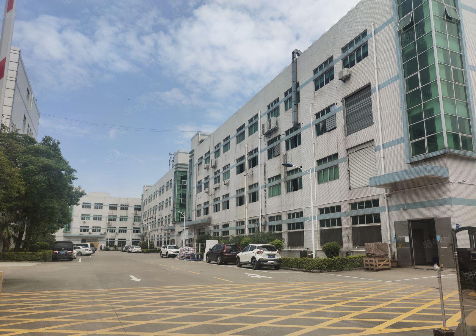 沥林新出楼上2000平方带豪华装修，可拎包入住！交通便利！！