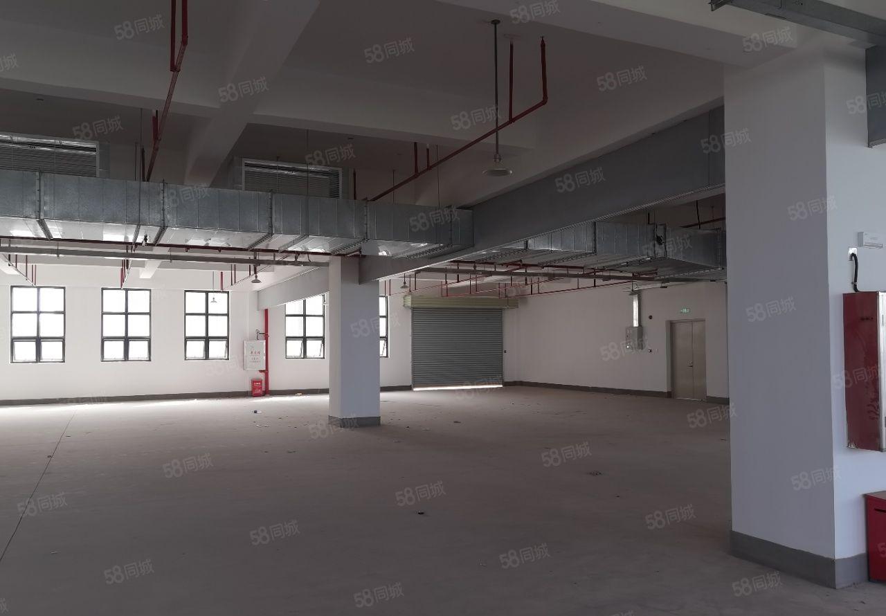 仲恺高新区陈江镇全新高大上标准厂房15000平出租可分租
