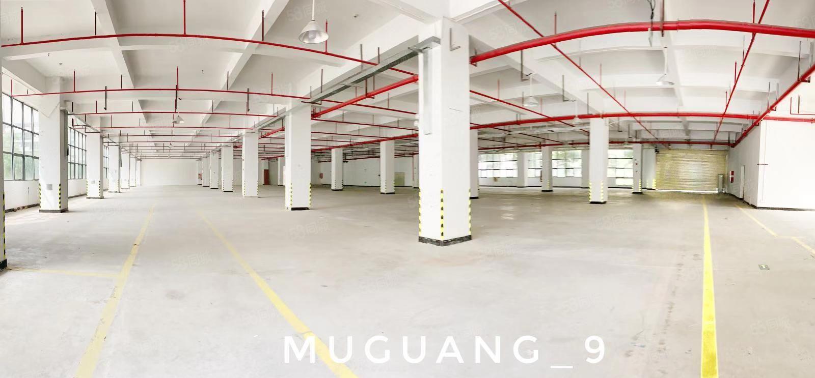 惠州长方照明40000平标准厂房 房东出租 高速口近