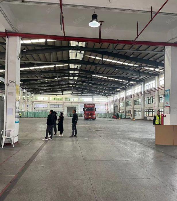 厂房出租陈江独院钢结构16000滴水高12米形象好价格便宜