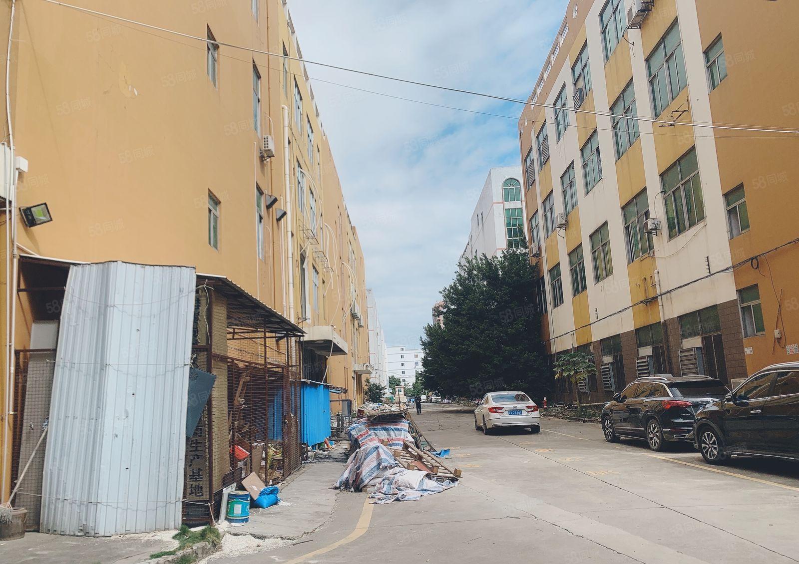 仲恺陈江独门独院一楼1500平高6米原房东仓库厂房出租200