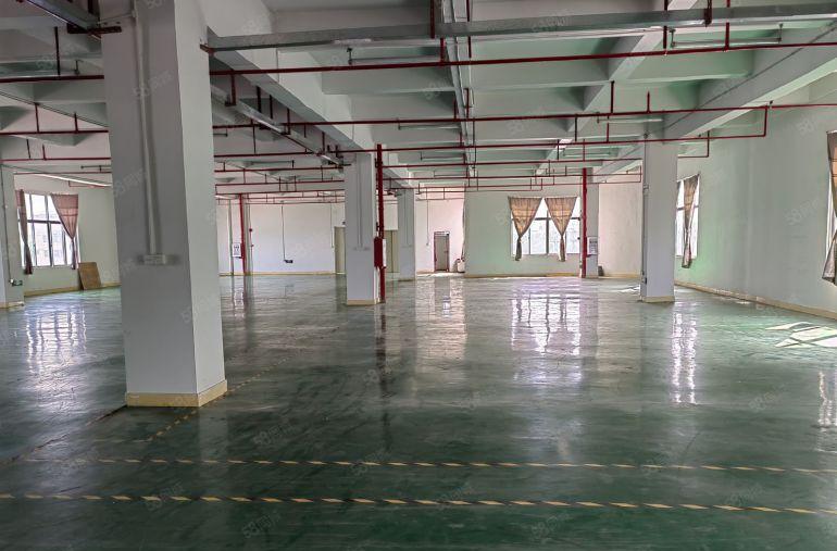 厂房出租陈江五一工业区新出一楼标准厂房2600平带牛角和水电