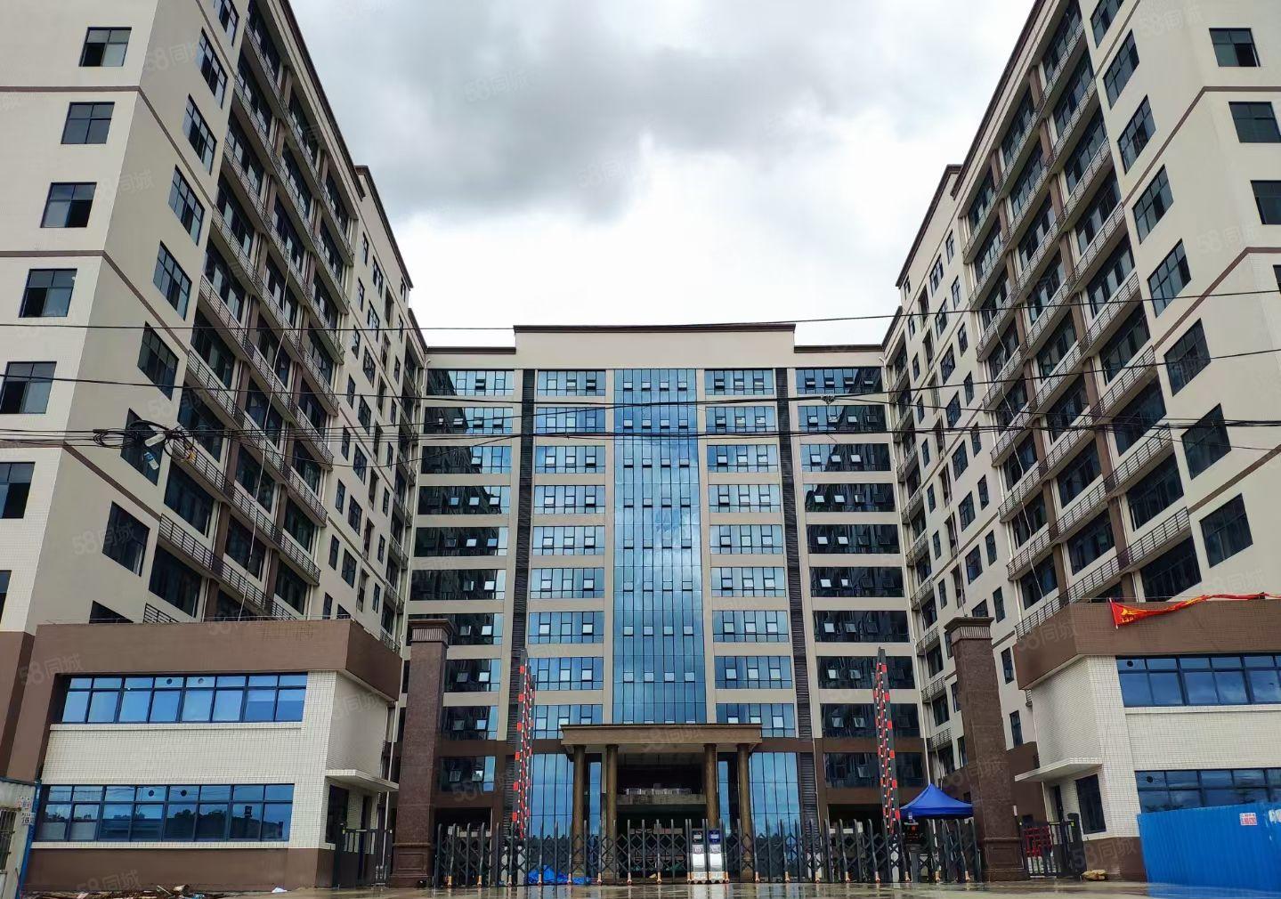 陈江镇标准新建红本78000厂房出租，交通便利！园区空地大！