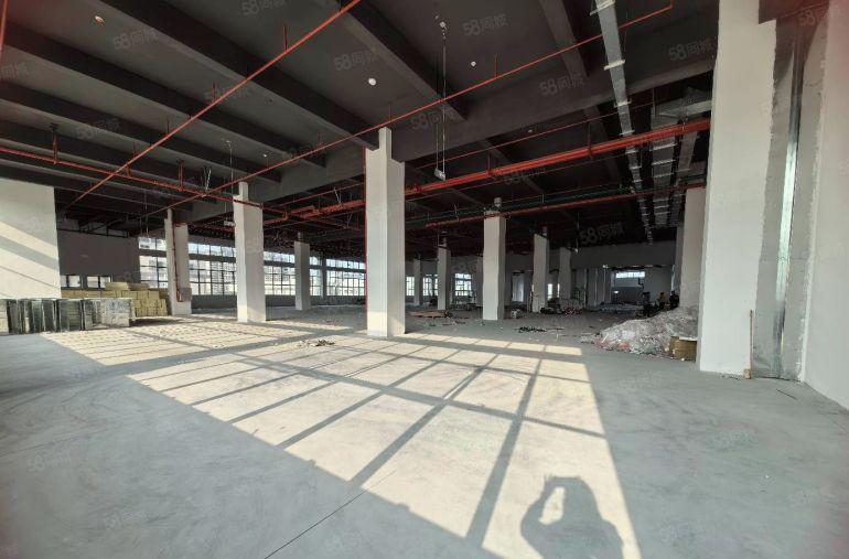 陈江五一工业区原房东一楼标准厂房2000平低价出租