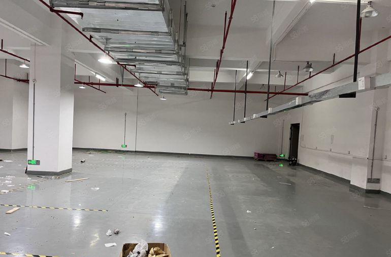 仲恺原房东全新带豪华装修红本厂房可办环评