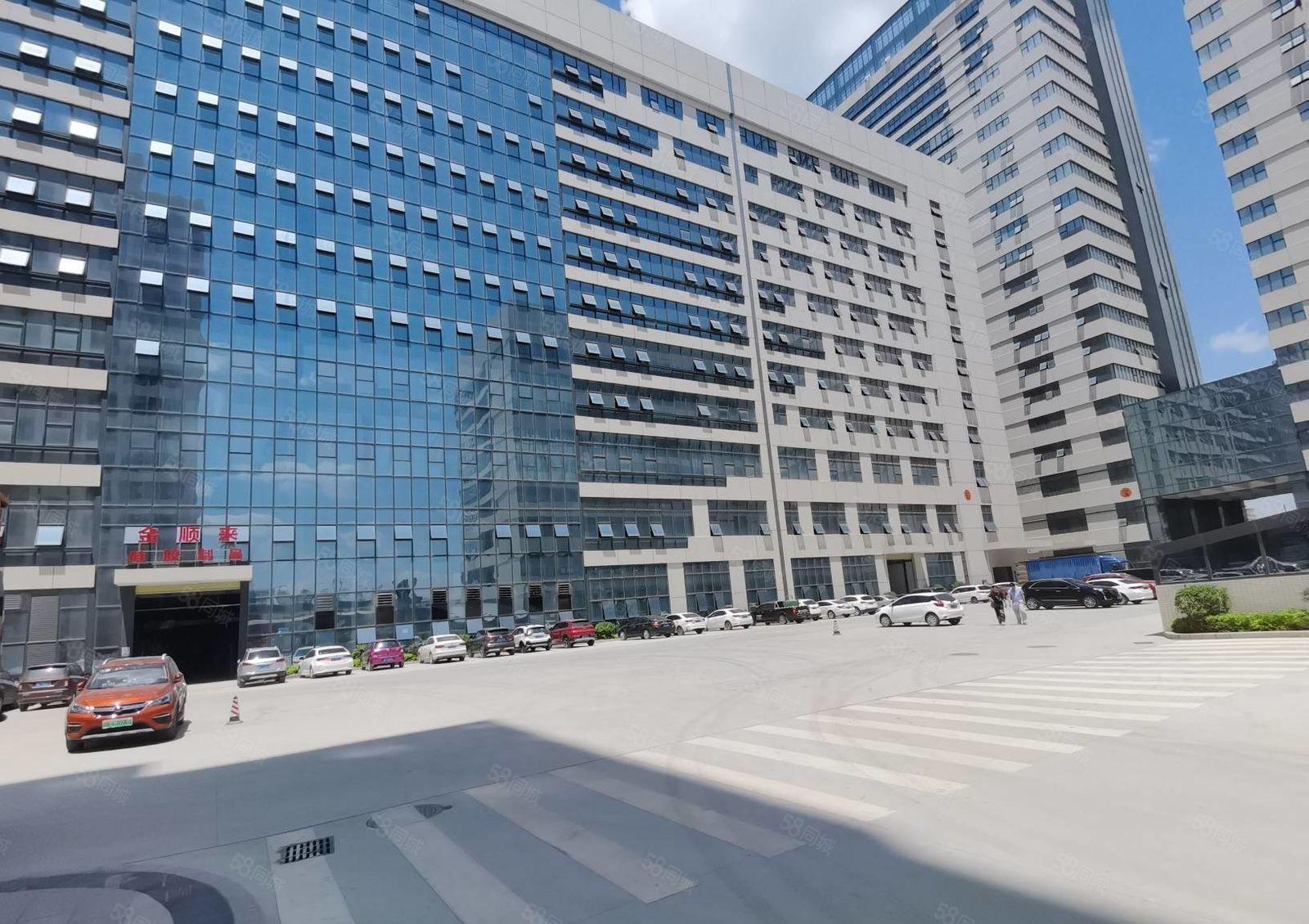 300平起租陈江五一原房东工业园4万平厂房出租可分租一楼7米