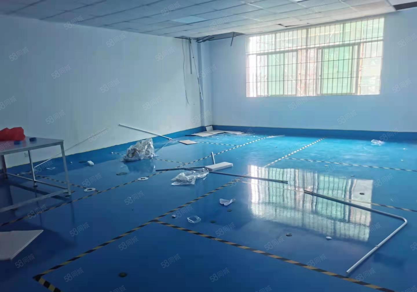 潼桥工业区原房东厂房流楼上整层900平方，带精装修