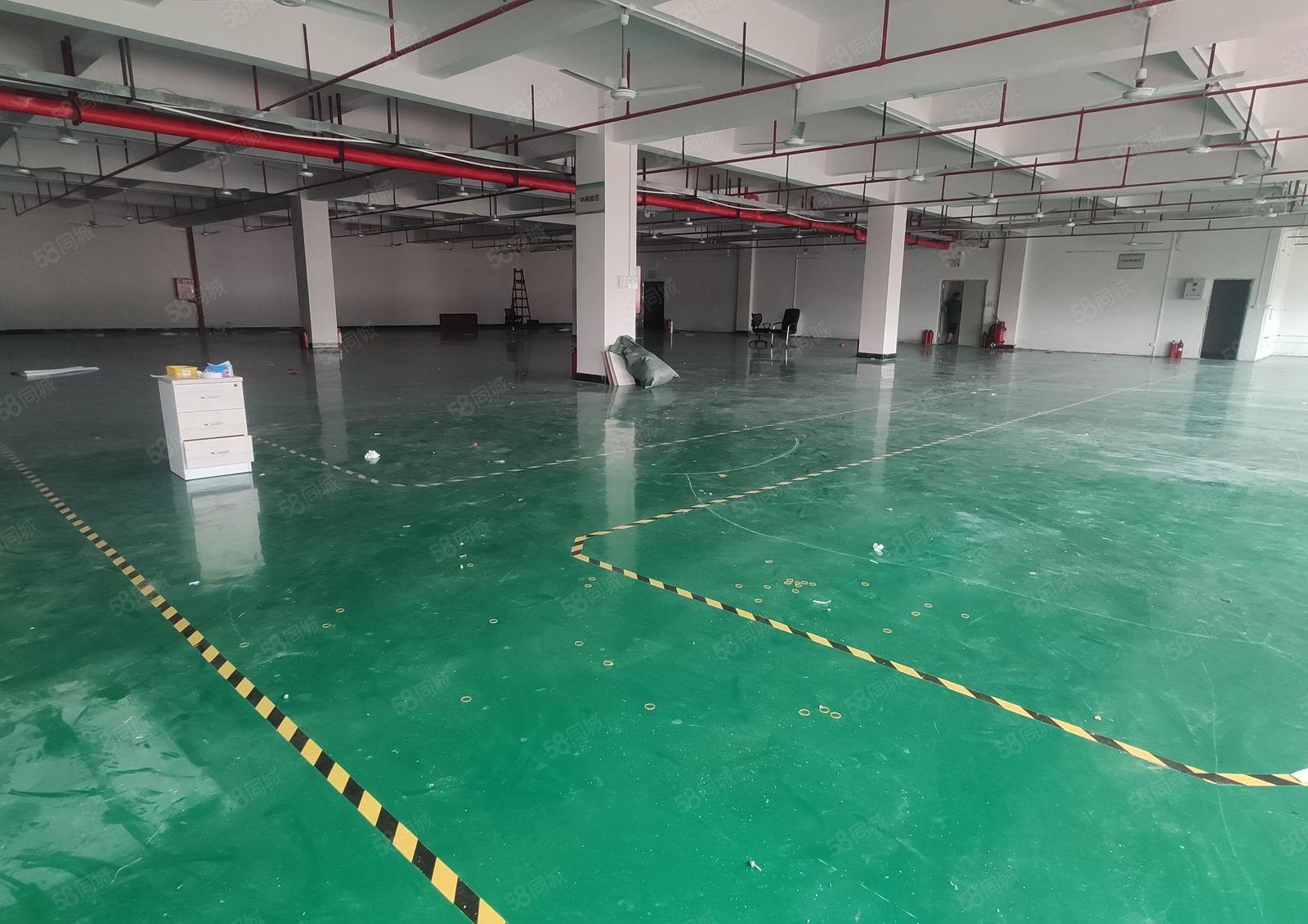 500平起仲恺陈江五一工业区原房东独院8000平厂房仓库出租