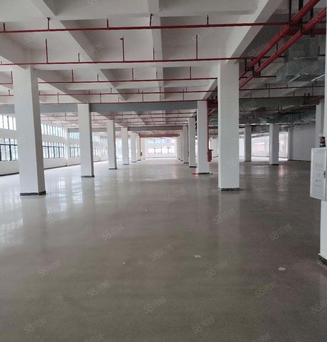 惠州市沥林镇智能产业园区总建筑面积15万平方米招租