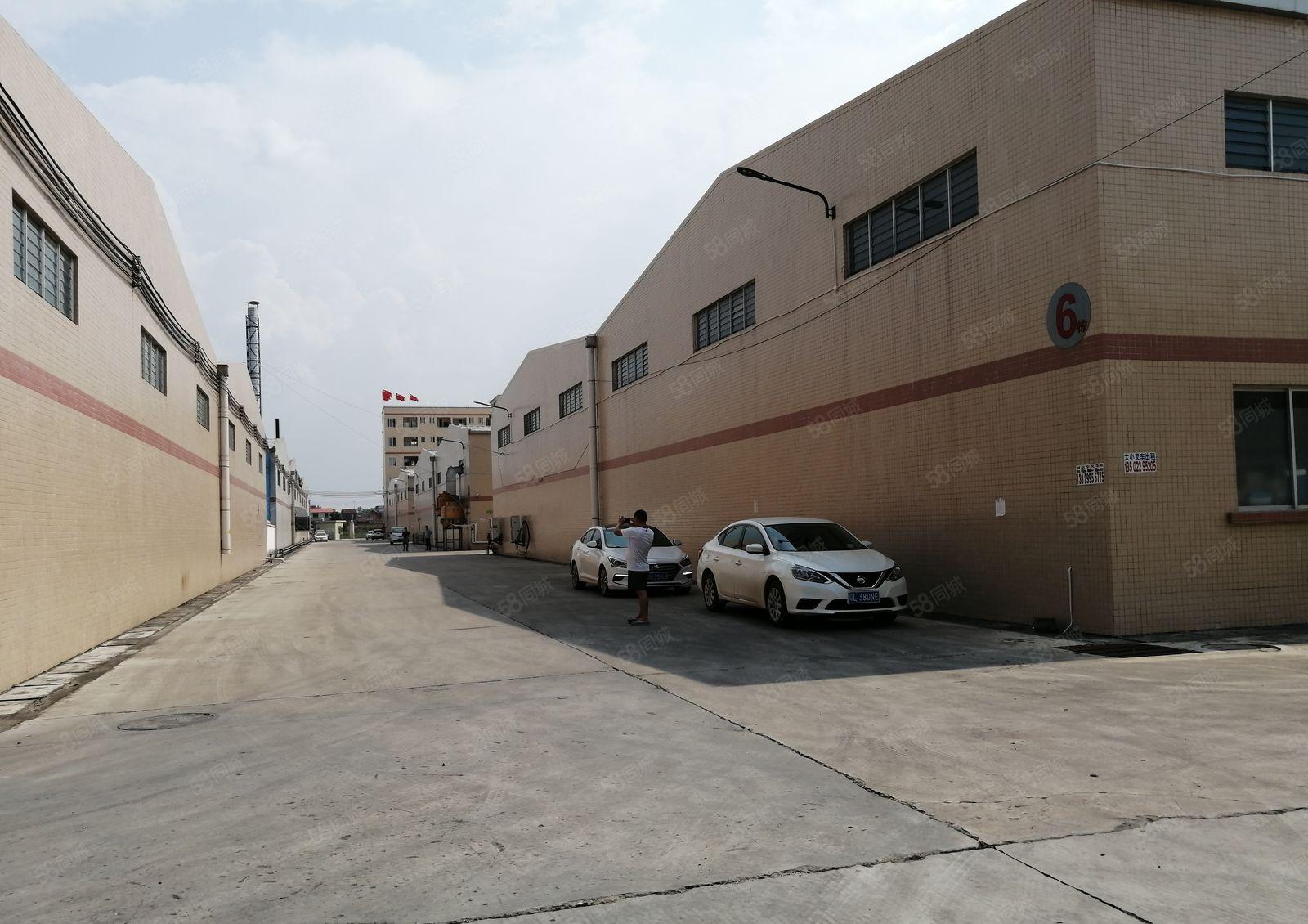 仲恺沥林宝鑫工业园厂房出租面积5000平可分租可办证