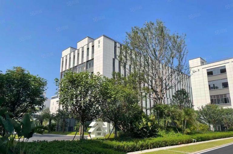 仲恺8元含税无公摊厂房开发商直租