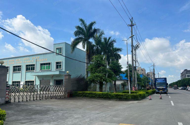 带红本独门独院厂房标准加单一层 一手房东