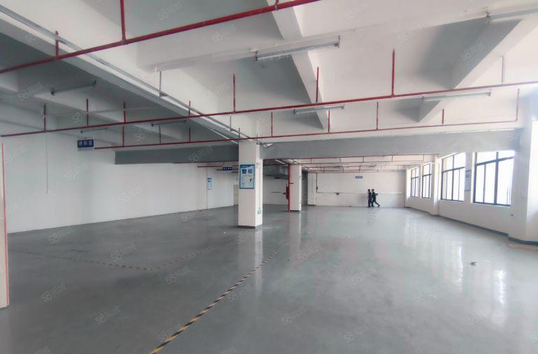 陈江五一工业区带精装修厂房8元出租可分租300平方水电齐全