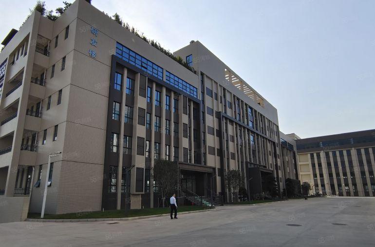 10元起仲恺陈江60000平原房东全新红本厂房仓库出租可环评