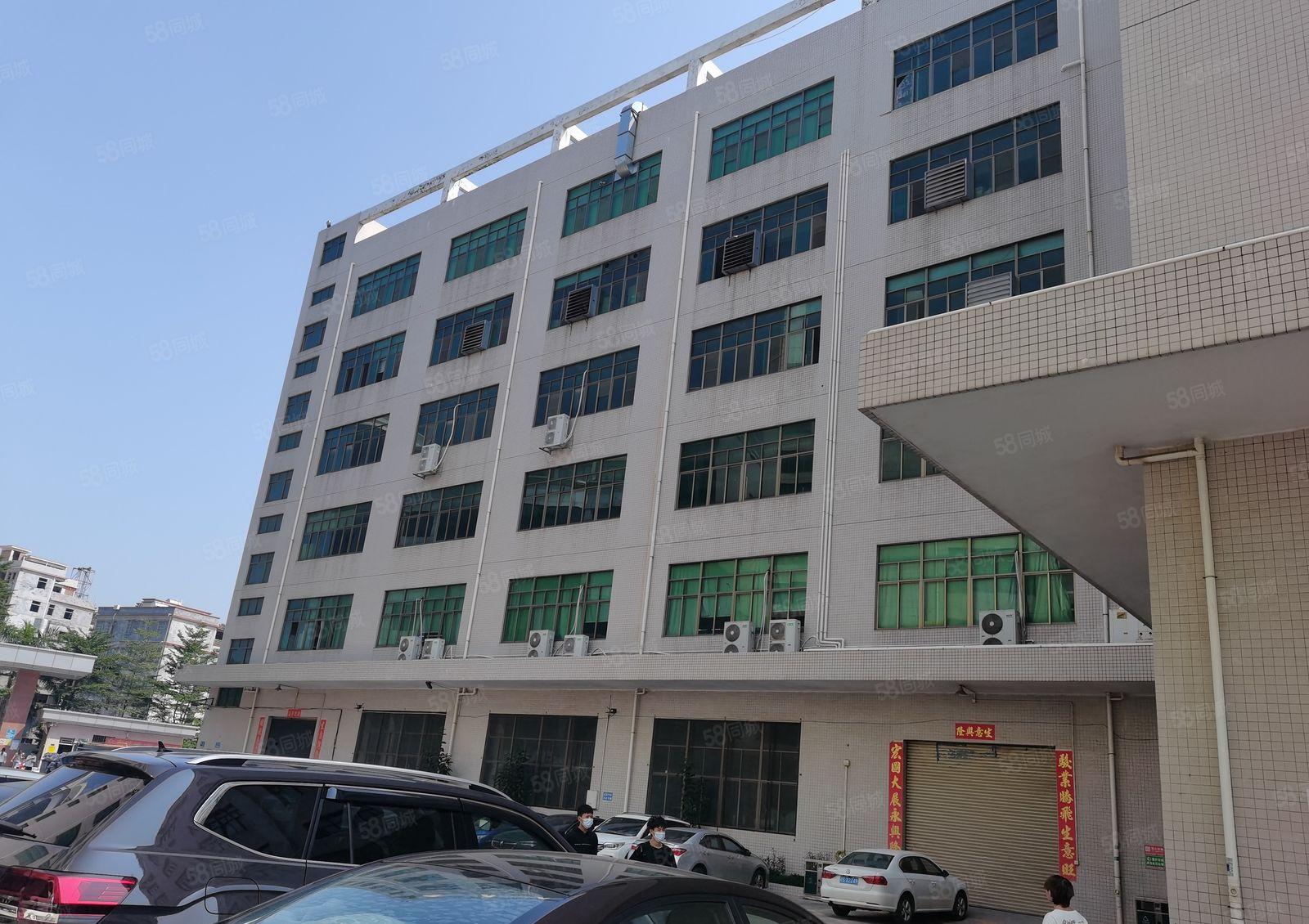 仲恺陈江小学2200标准一楼红本厂房仓库出租面积实量原房东