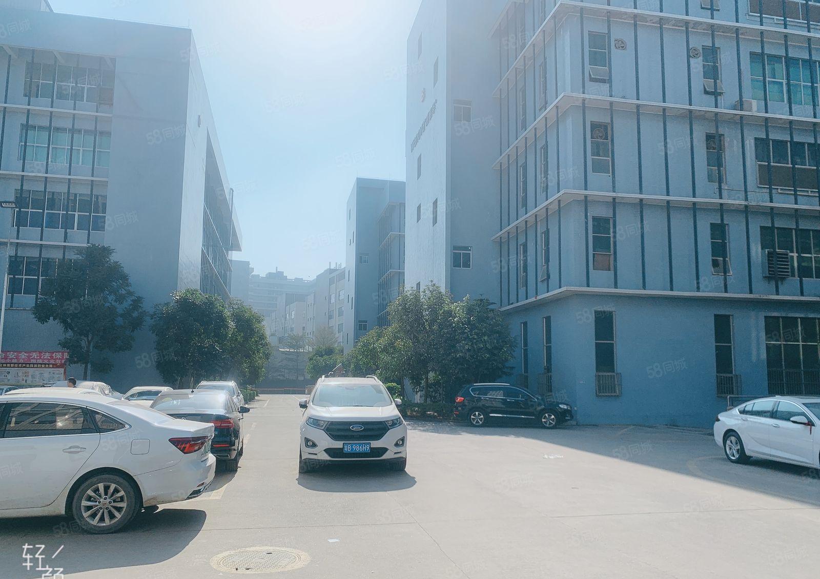 仲恺陈江原房东1000平精装修一楼高6米200仓库厂房出租