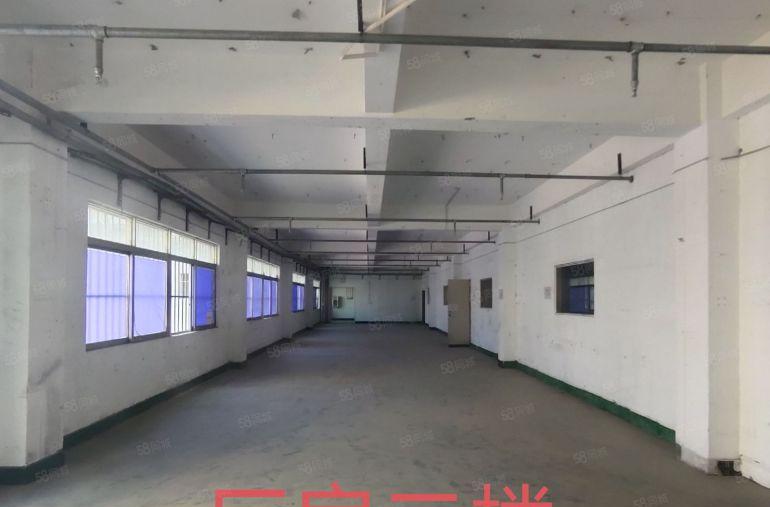 仲恺一手房东2500平方独院厂房，可分租可出售