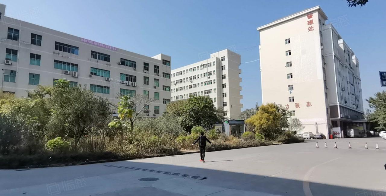 陈江五一工业区1200平到精装修厂房出租低价仓库可分租带环评