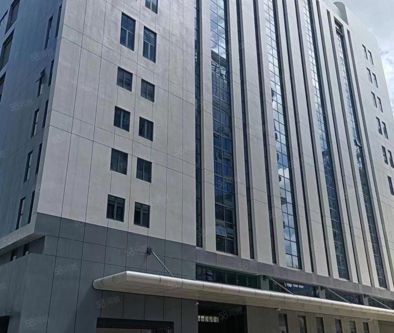 智慧园区，已进驻华润制药，无公摊，亿纬锂能附近