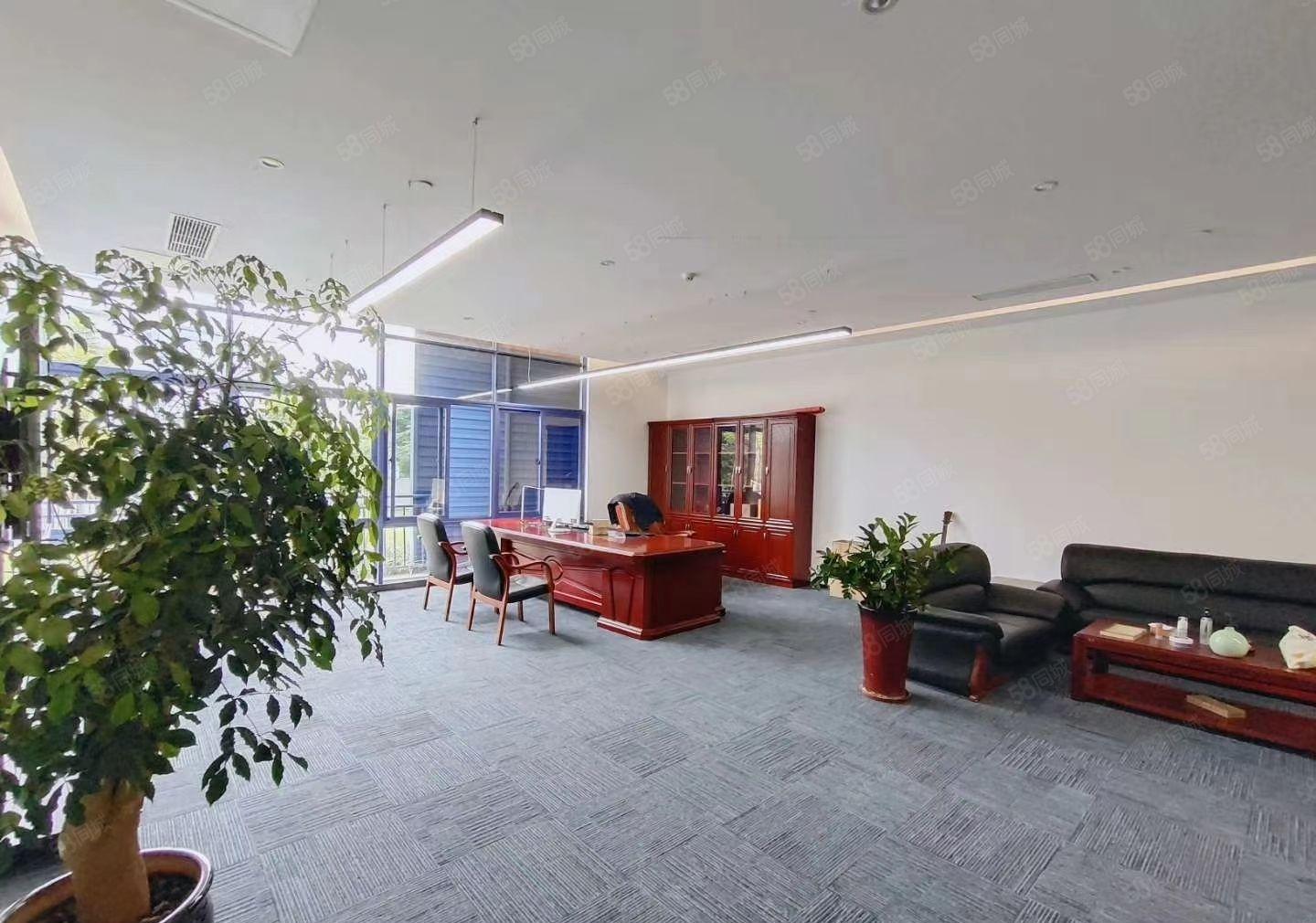 赠！免租期 陈江区新出标准厂房 可做电子生物 证件齐全带红本