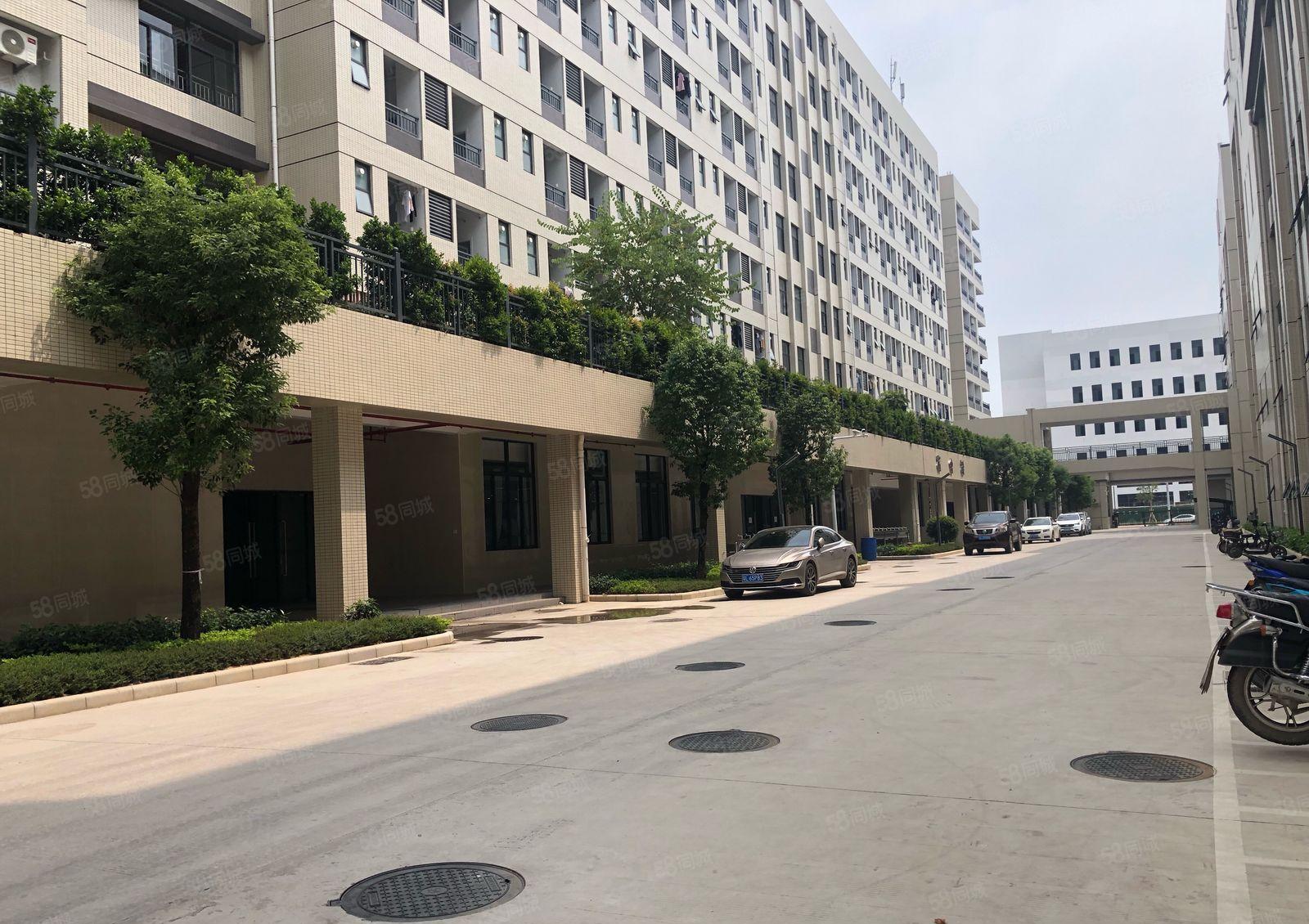 原房东仲恺平南工业区全新标准厂房3000平方一楼7米高带牛角