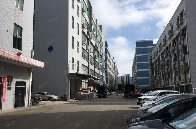 仲恺陈江原房东2000平仓库厂房出租一楼7米200起分租合租